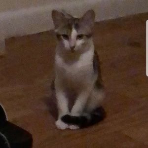 Meet your Posher, Jon